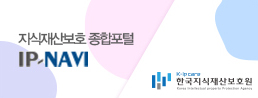지식재산보호 종합포털 IP NAVI 한국지식재산보호원